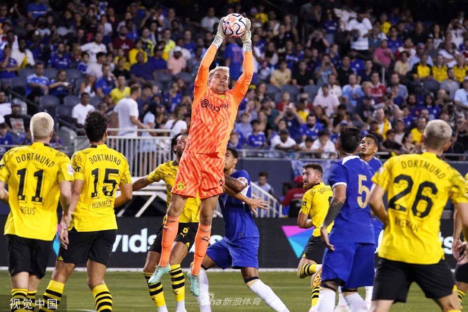 彻底打乱了 彻底打乱了